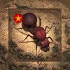 密盒星球